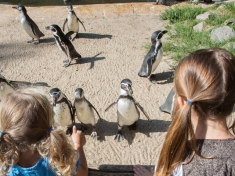 AquaZoo Friesland Nederland