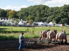 Beurs Arnhem