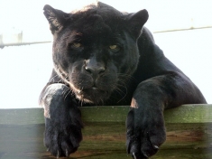 Best Zoo Niederlande