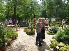 Bloem & Tuin