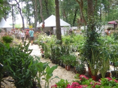 Bloem & Tuin Nederland