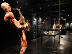 Museum Amsterdam