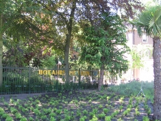 Botanische Tuin Delft
