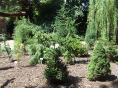 Tuin Delft