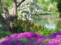 Tuin Utrecht