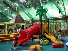 Chimpie Champ Aalsmeer Nederland