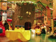 Chimpie Champ Oosterhout Nederland