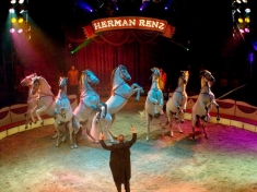 Circus Renz