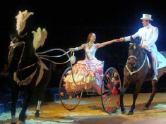 Circus Nederland