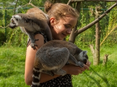 Dierentuin Nuenen