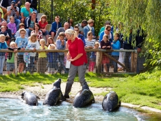 Dierenrijk Nederland