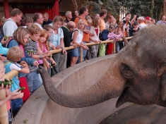Dierentuin Munster