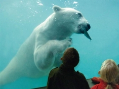 Zoo Rotterdam