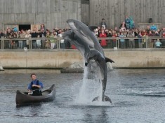 Dierentuin Harderwijk