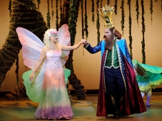 Droomvlucht De Musical