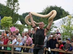 Farm & Country Fair
