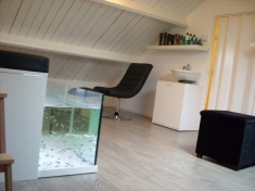 Fish Spa Happy Feet