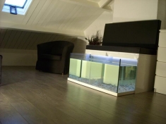 Fish Spa Happy Feet Nederland
