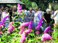 Fleurig Nederland