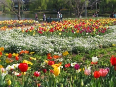 Floriade