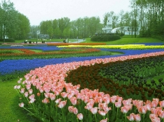 Evenement Venlo