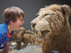 Giants of the Ice Age