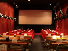 Gotcha Cinema Nederland