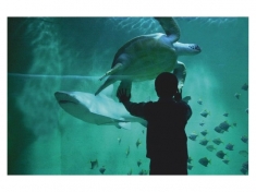Grand Aquarium Frankrijk