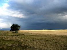 Hoge Veluwe Nederland