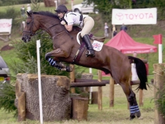 Horse Event