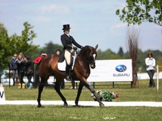 Beurs Deurne