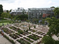 Hortus Botanicus Leiden