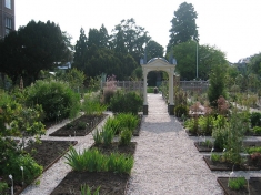 Hortus Botanicus Leiden Nederland