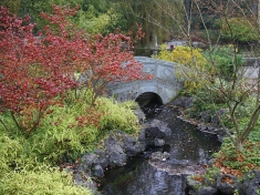 Tuin Haren
