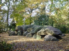 Hunebedcentrum