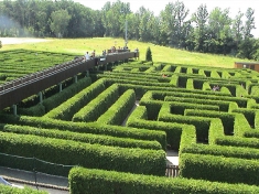 Irrgarten Kleinwelka