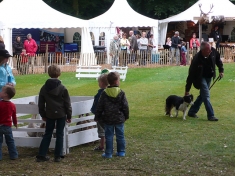 Beurs De Steeg