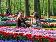 Tuin Lisse