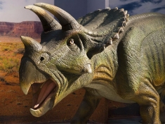 Living Dinosaurs