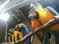 Dierentuin Marknesse