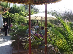 Tuin Millingen aan de Rijn