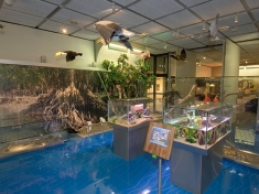 Museum Den Haag