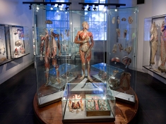 Museum Boerhaave