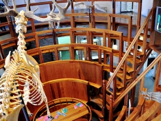 Museum Boerhaave Nederland