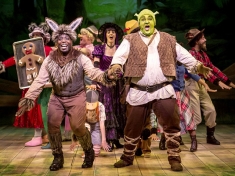 Musical Shrek Nederland
