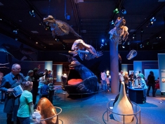 Naturalis