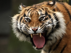 Naturzoo Rheine