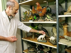 Natuurmuseum Friesland Nederland