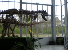 Oertijdmuseum De Groene Poort