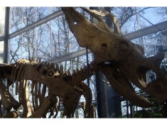 Museum Boxtel